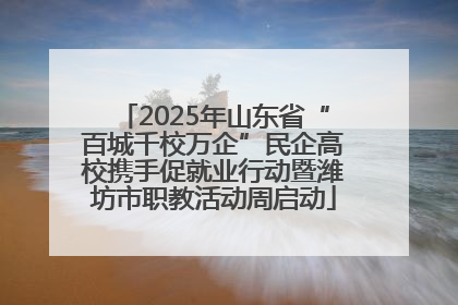 2025年山东省“百城千校万企”民企高校携手促就业行动暨潍坊市职教活动周启动
