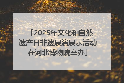 2025年文化和自然遗产日非遗展演展示活动在河北博物院举办