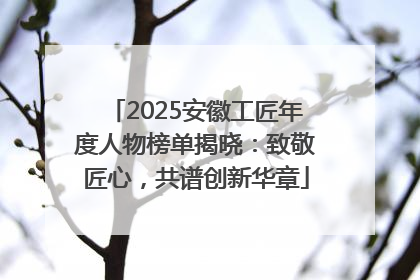 2025安徽工匠年度人物榜单揭晓：致敬匠心，共谱创新华章