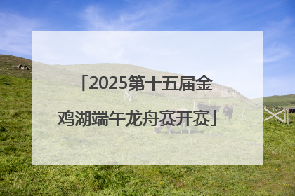 2025第十五届金鸡湖端午龙舟赛开赛