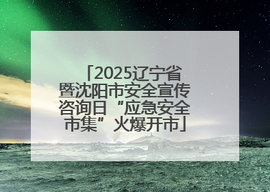 2025辽宁省暨沈阳市安全宣传咨询日“应急安全市集”火爆开市