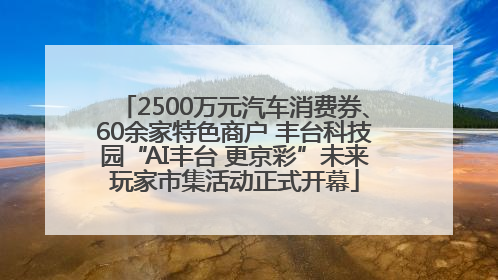2500万元汽车消费券、60余家特色商户 丰台科技园“AI丰台 更京彩”未来玩家市集活动正式开幕