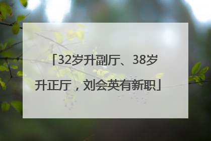 32岁升副厅、38岁升正厅，刘会英有新职