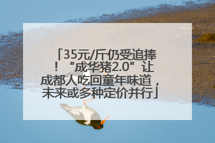 35元/斤仍受追捧！“成华猪2.0”让成都人吃回童年味道，未来或多种定价并行