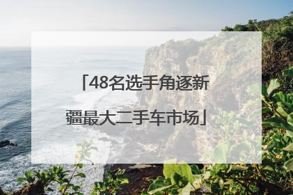 48名选手角逐新疆最大二手车市场