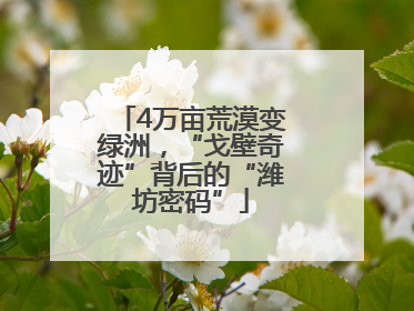 4万亩荒漠变绿洲，“戈壁奇迹”背后的“潍坊密码”