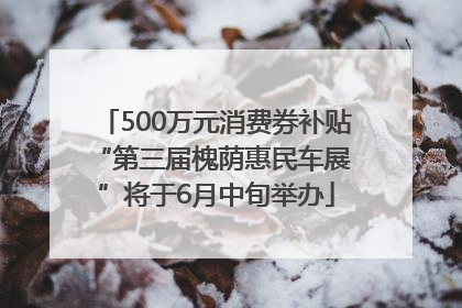 500万元消费券补贴 “第三届槐荫惠民车展”将于6月中旬举办