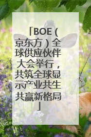 BOE（京东方）全球供应伙伴大会举行，共筑全球显示产业共生共赢新格局