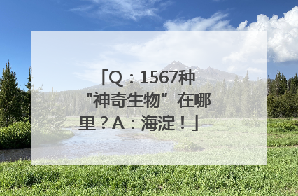 Q：1567种“神奇生物”在哪里？A：海淀！